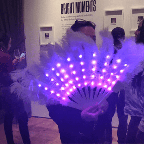 LED Feather Fan