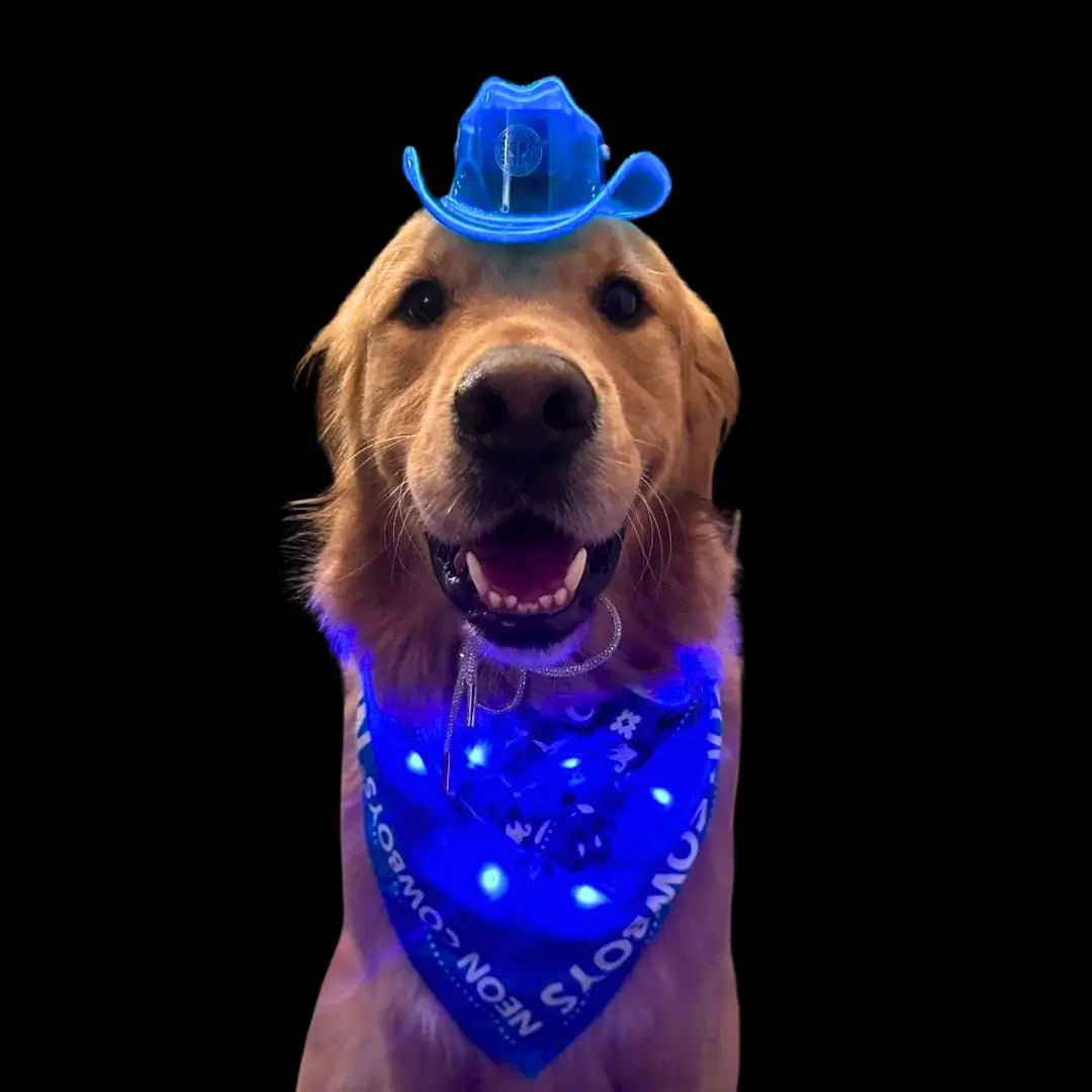 Hotsell Cowboy Pup