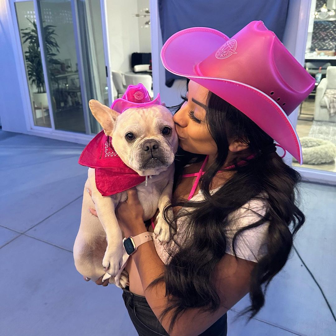 Best Glow-in-the-Dark Cowboy Hat for French Bulldogs - Neon Cowboys