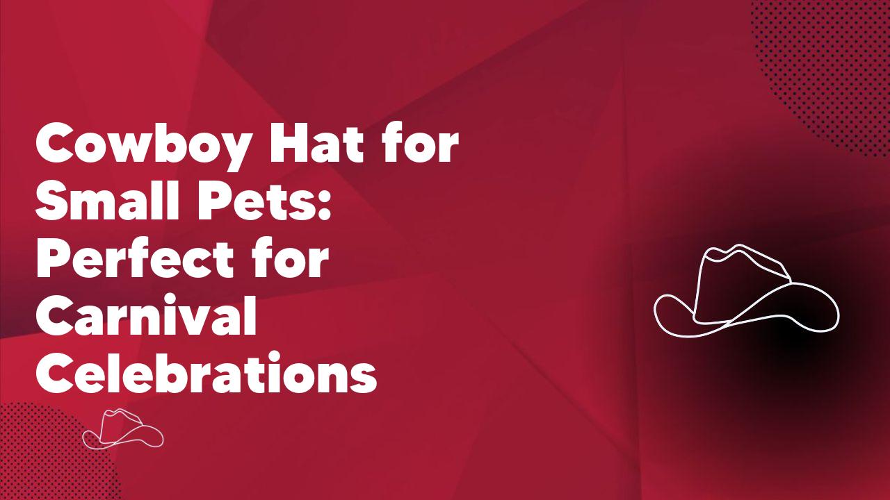 Cowboy Hat for Small Pets: Perfect for Carnival Celebrations - Neon Cowboys