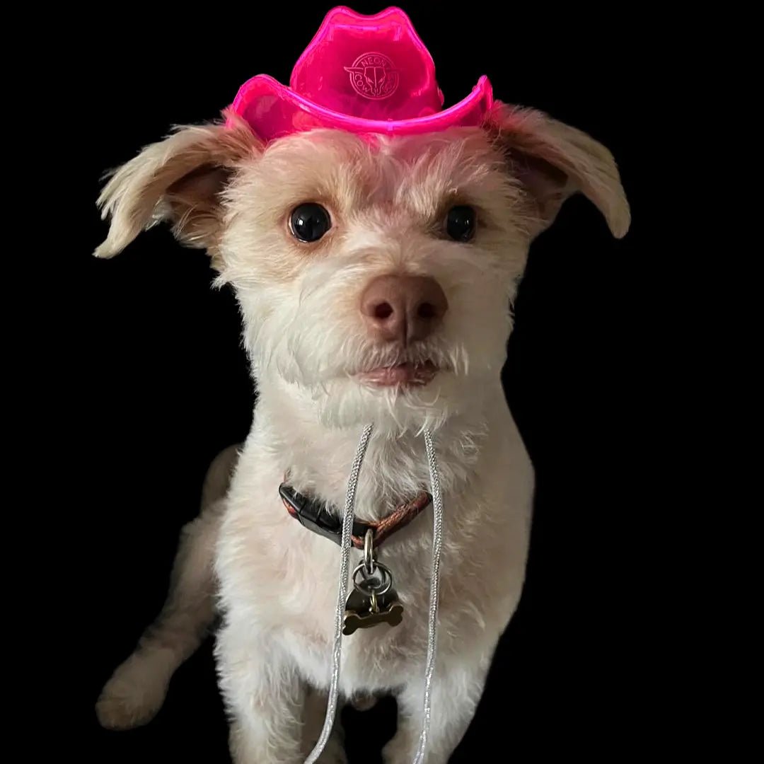 Glow-in-the-dark Cowboy Hats for Dogs - Neon Cowboys