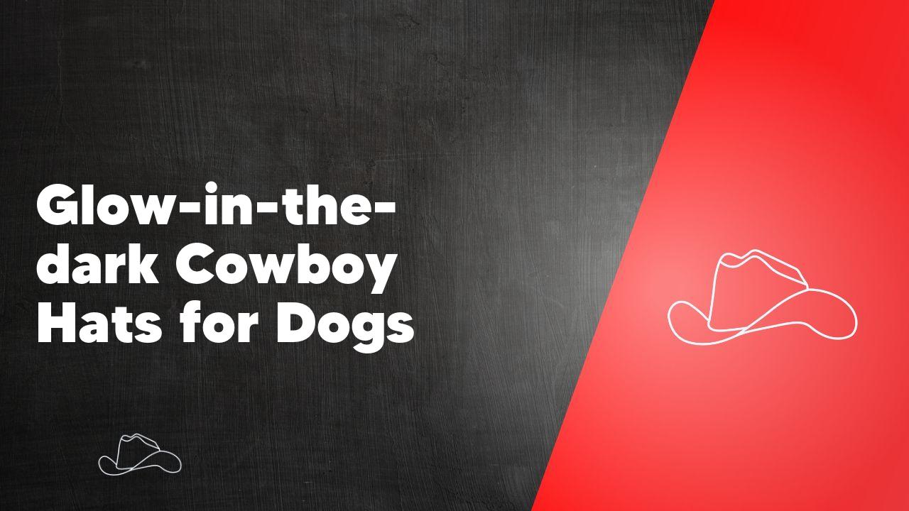 Glow-in-the-dark Cowboy Hats for Dogs - Neon Cowboys