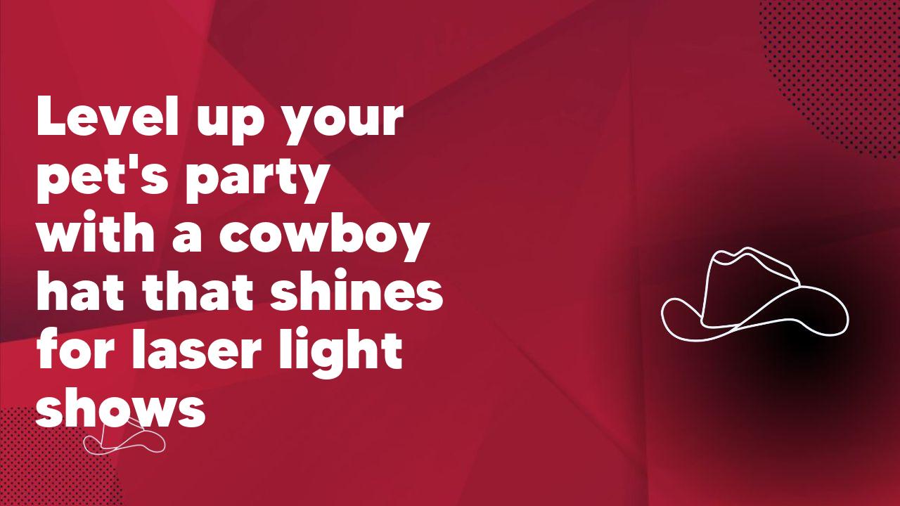 Level up your pet's party with a cowboy hat that shines for laser light shows - Neon Cowboys