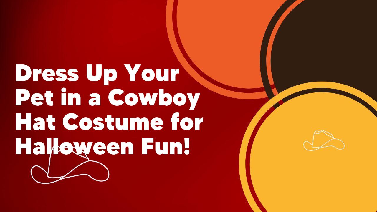 Dress Up Your Pet in a Cowboy Hat Costume for Halloween Fun!