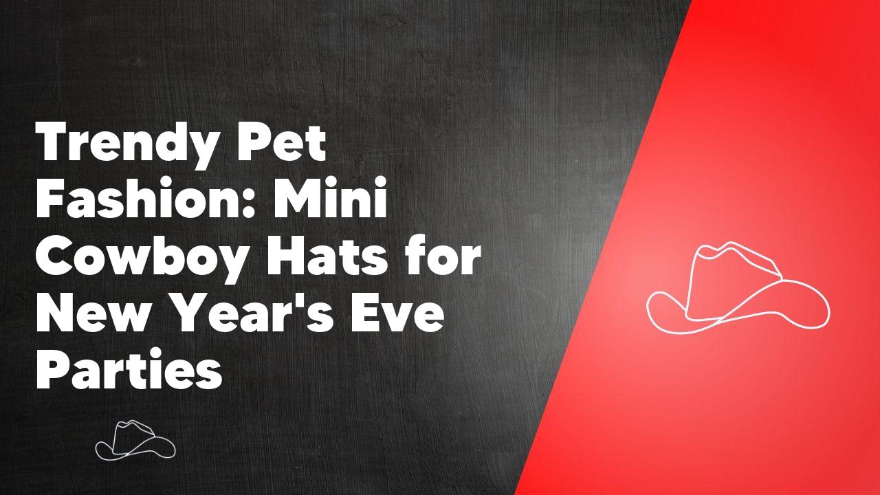 Trendy Pet Fashion: Mini Cowboy Hats for New Year's Eve Parties