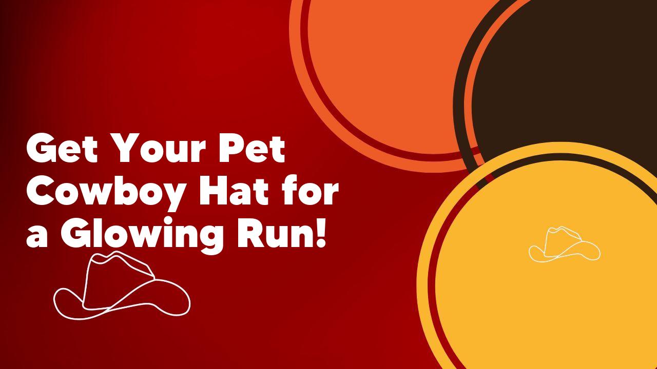 Get Your Pet Cowboy Hat for a Glowing Run!