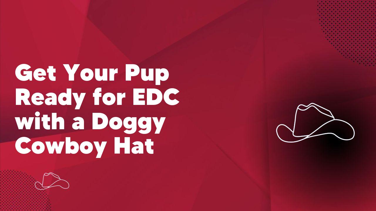 Get Your Pup Ready for EDC with a Doggy Cowboy Hat