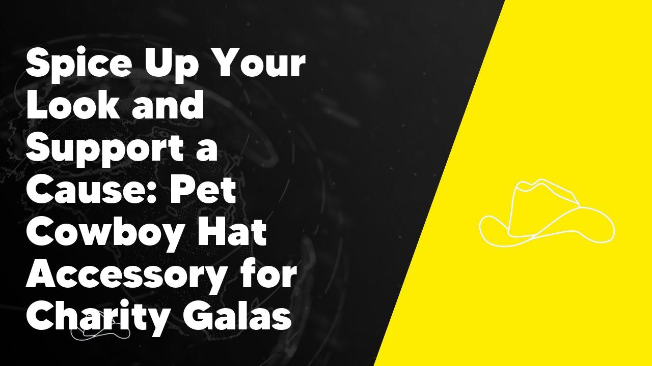 Spice Up Your Look and Support a Cause: Pet Cowboy Hat Accessory for Charity Galas
