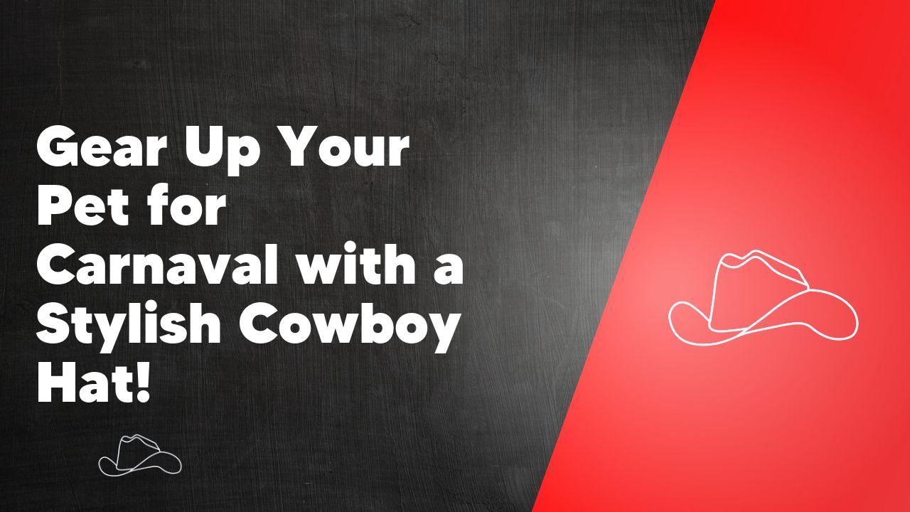 Gear Up Your Pet for Carnaval with a Stylish Cowboy Hat!