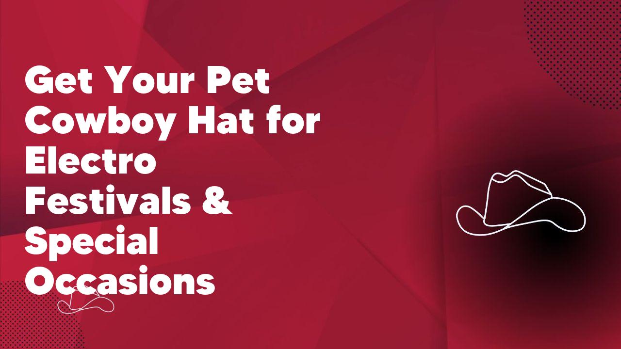Get Your Pet Cowboy Hat for Electro Festivals & Special Occasions