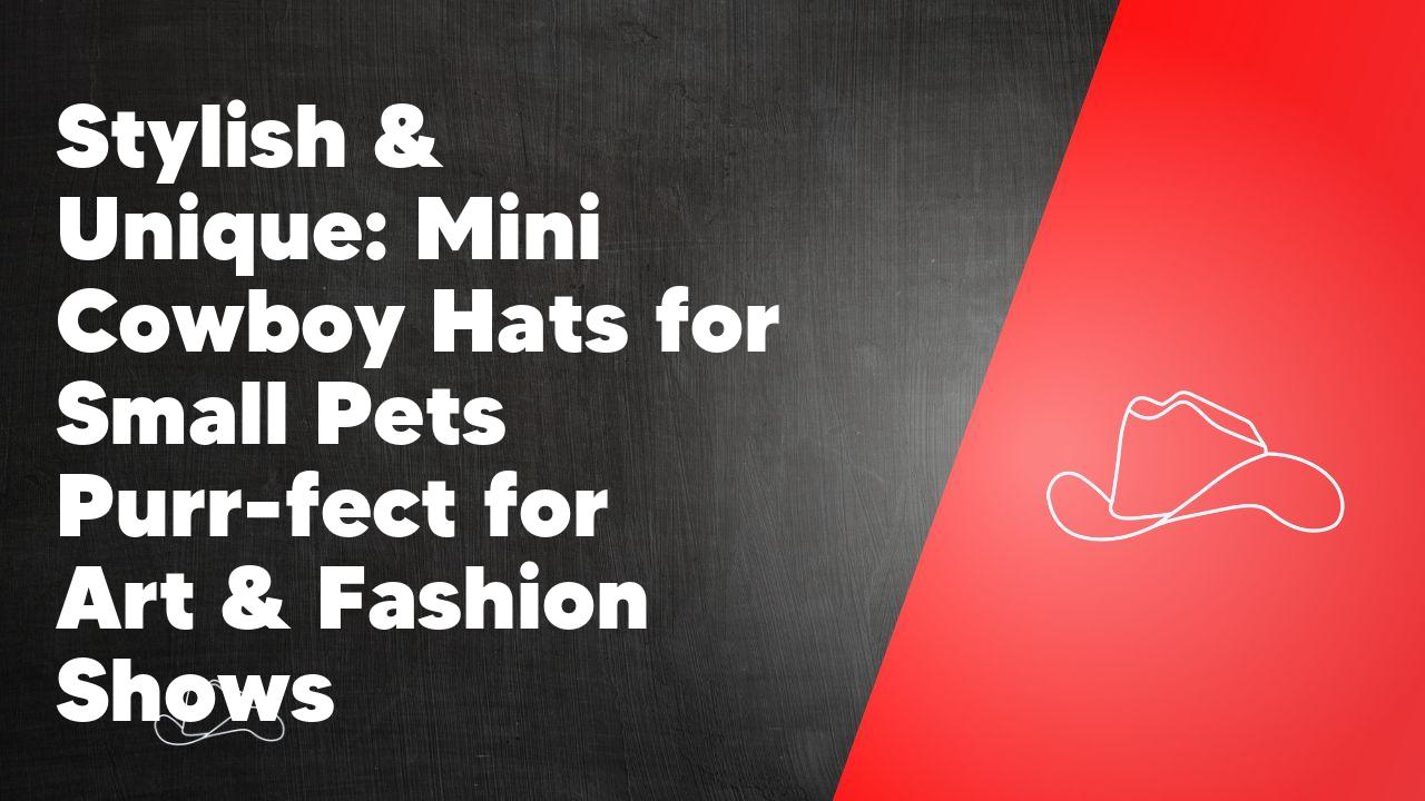 Stylish & Unique: Mini Cowboy Hats for Small Pets Purr-fect for Art & Fashion Shows