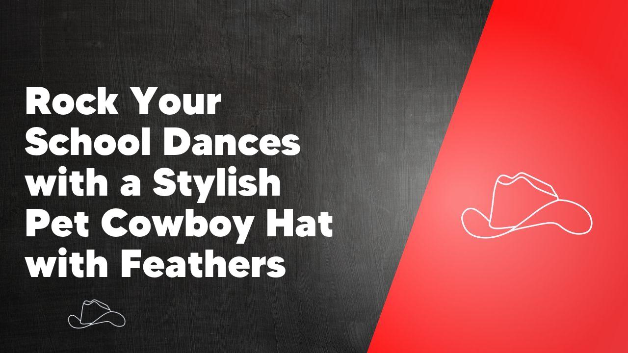 Rock Your School Dances with a Stylish Pet Cowboy Hat with Feathers