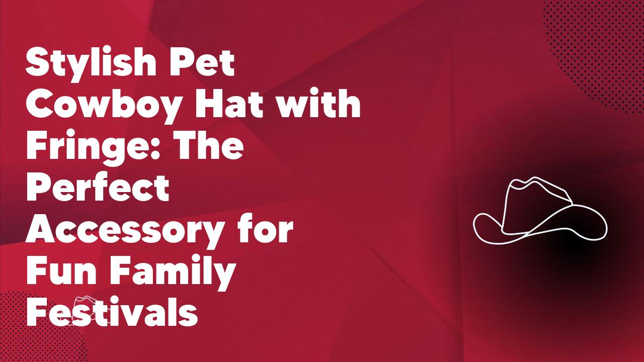 Stylish Pet Cowboy Hat with Fringe: The Perfect Accessory for Fun Family Festivals