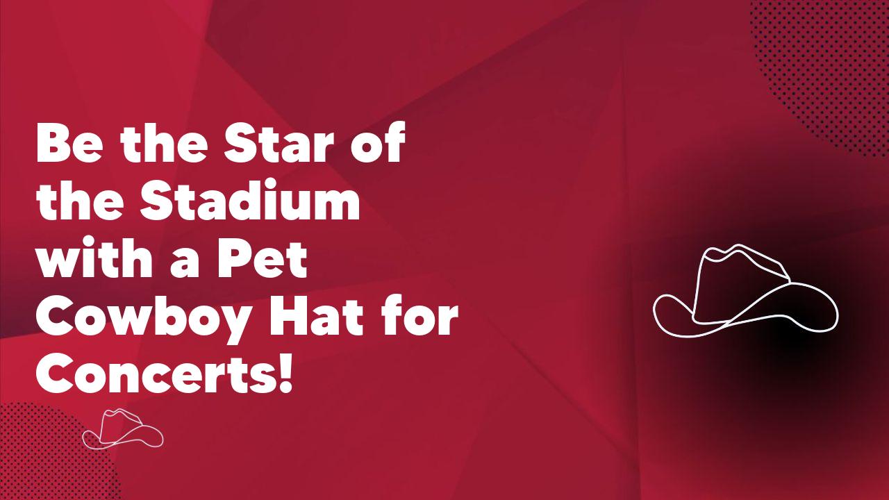 Be the Star of the Stadium with a Pet Cowboy Hat for Concerts!