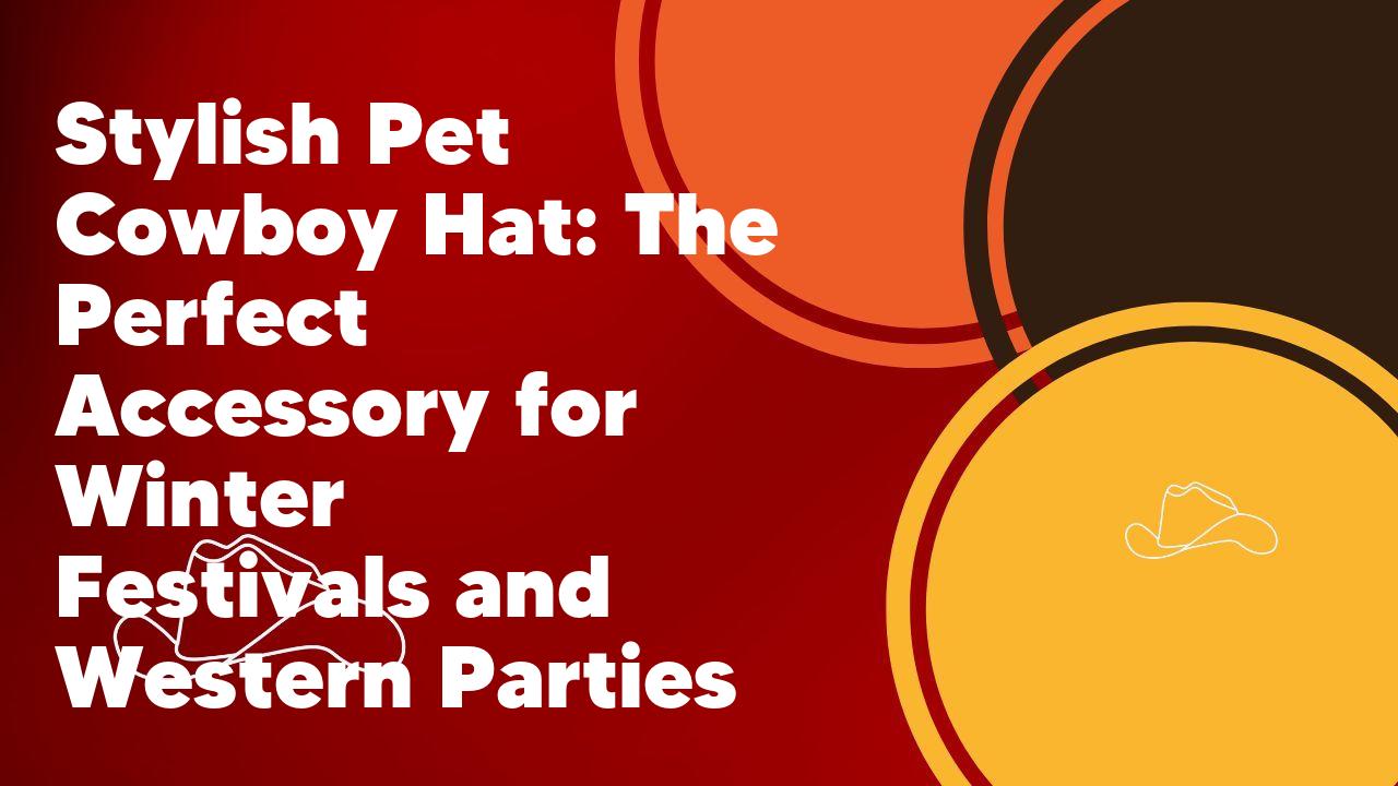 Stylish Pet Cowboy Hat: The Perfect Accessory for Winter Festivals and Western Parties