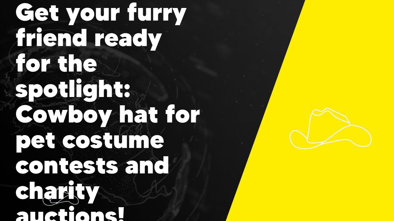 Get your furry friend ready for the spotlight: Cowboy hat for pet costume contests and charity auctions!
