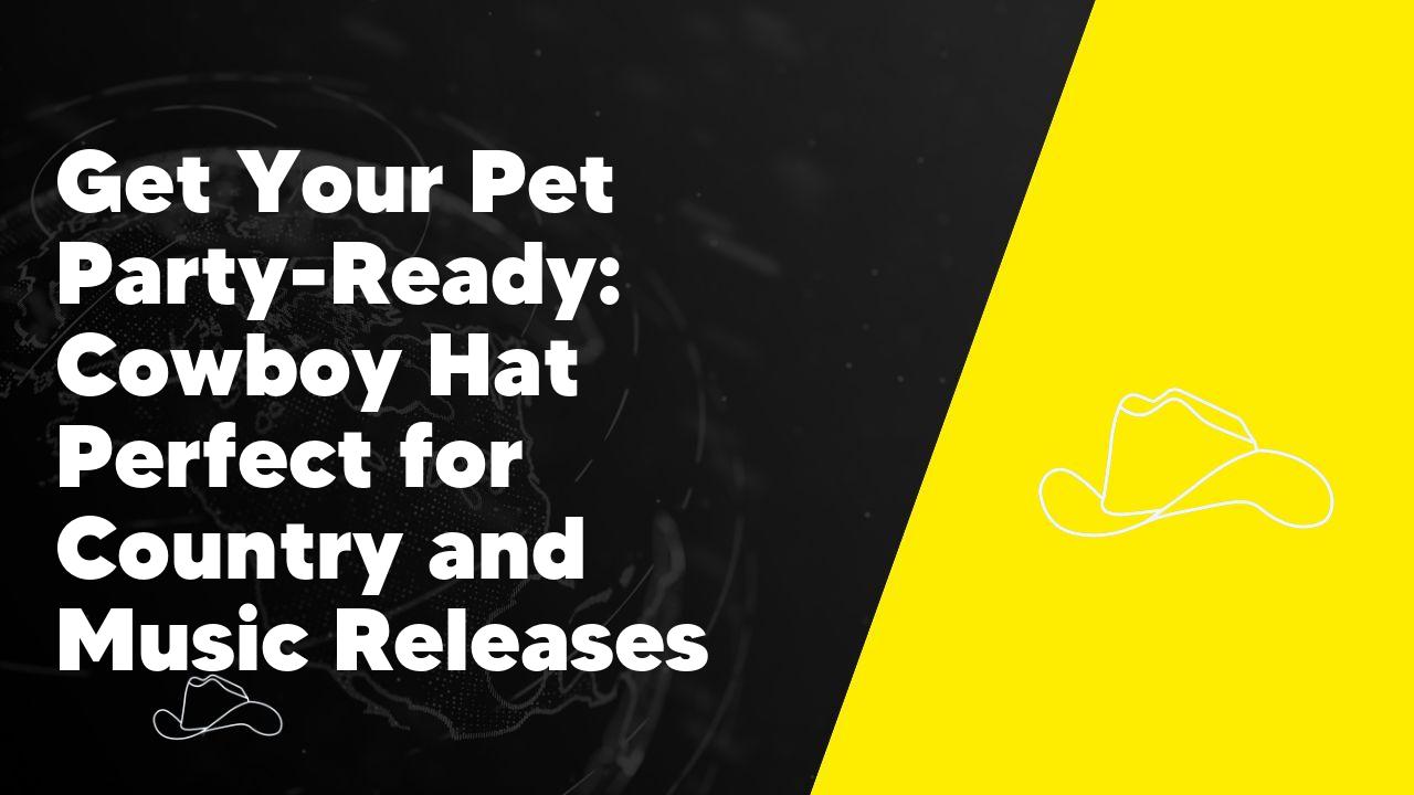 Get Your Pet Party-Ready: Cowboy Hat Perfect for Country and Music Releases