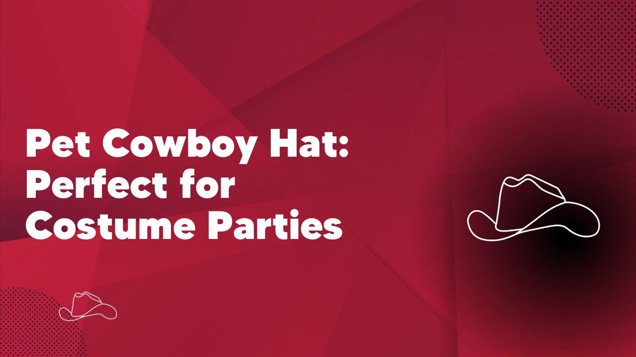 Pet Cowboy Hat: Perfect for Costume Parties