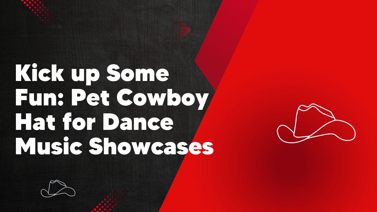 Kick up Some Fun: Pet Cowboy Hat for Dance Music Showcases