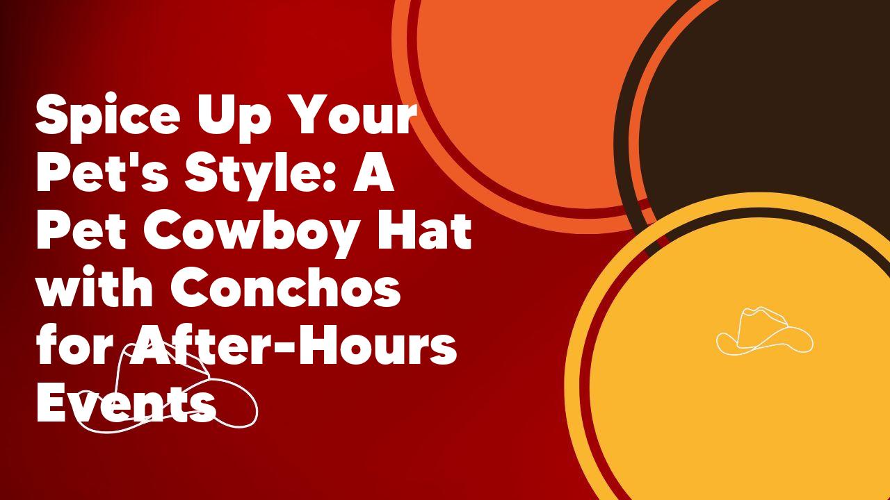 Spice Up Your Pet's Style: A Pet Cowboy Hat with Conchos for After-Hours Events