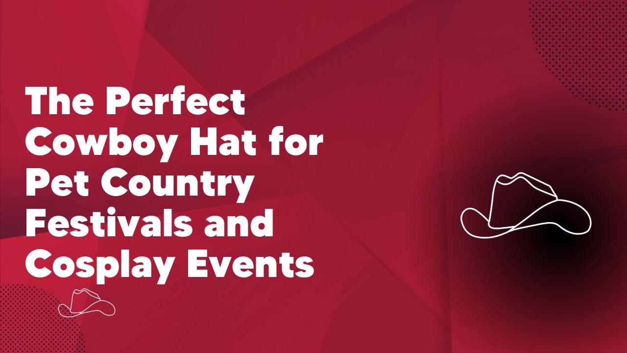 The Perfect Cowboy Hat for Pet Country Festivals and Cosplay Events