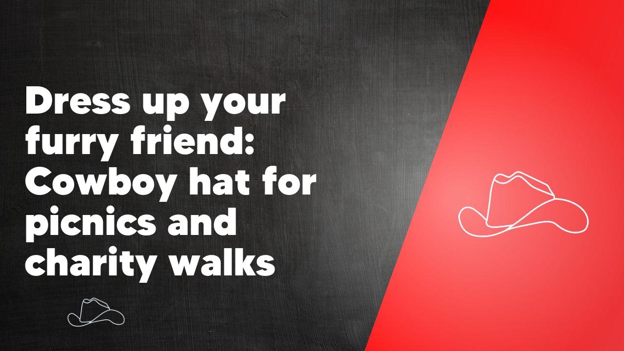 Dress up your furry friend: Cowboy hat for picnics and charity walks