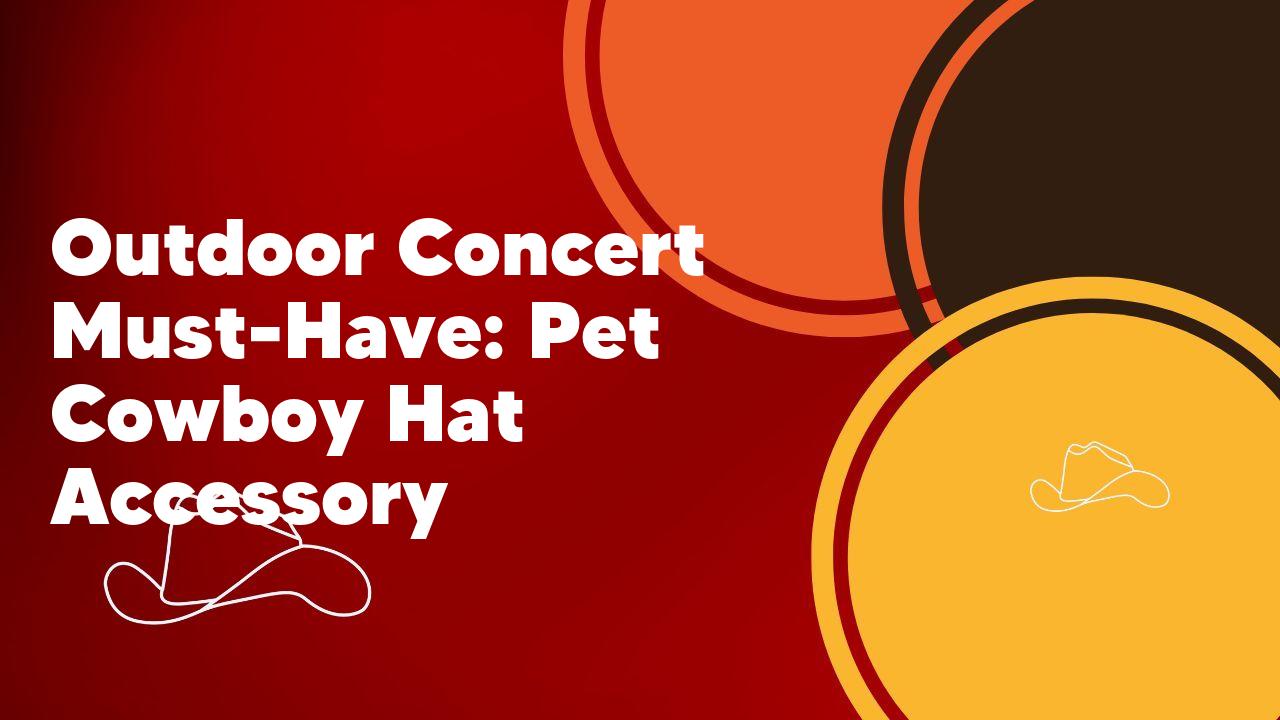 Outdoor Concert Must-Have: Pet Cowboy Hat Accessory