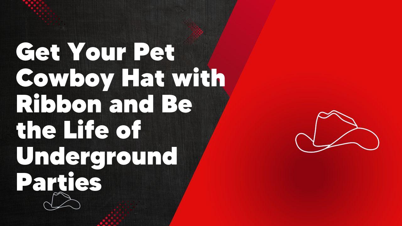 Get Your Pet Cowboy Hat with Ribbon and Be the Life of Underground Parties