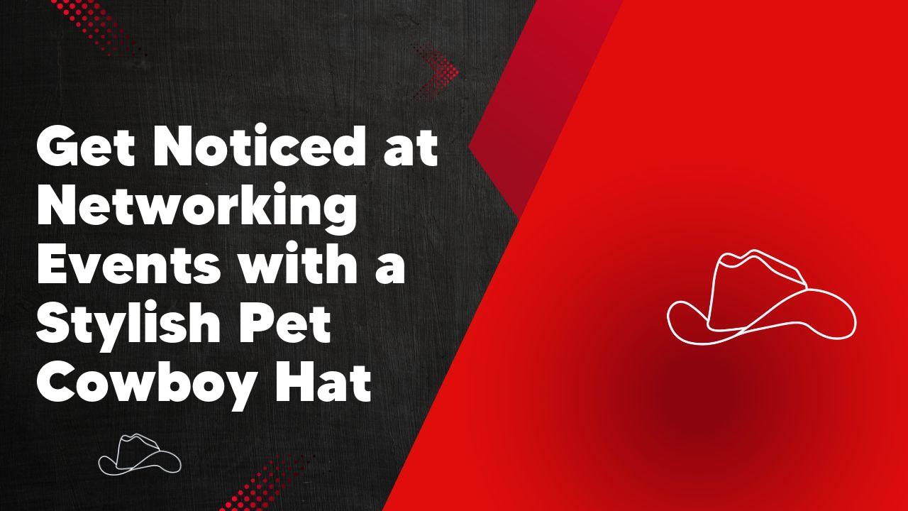 Get Noticed at Networking Events with a Stylish Pet Cowboy Hat