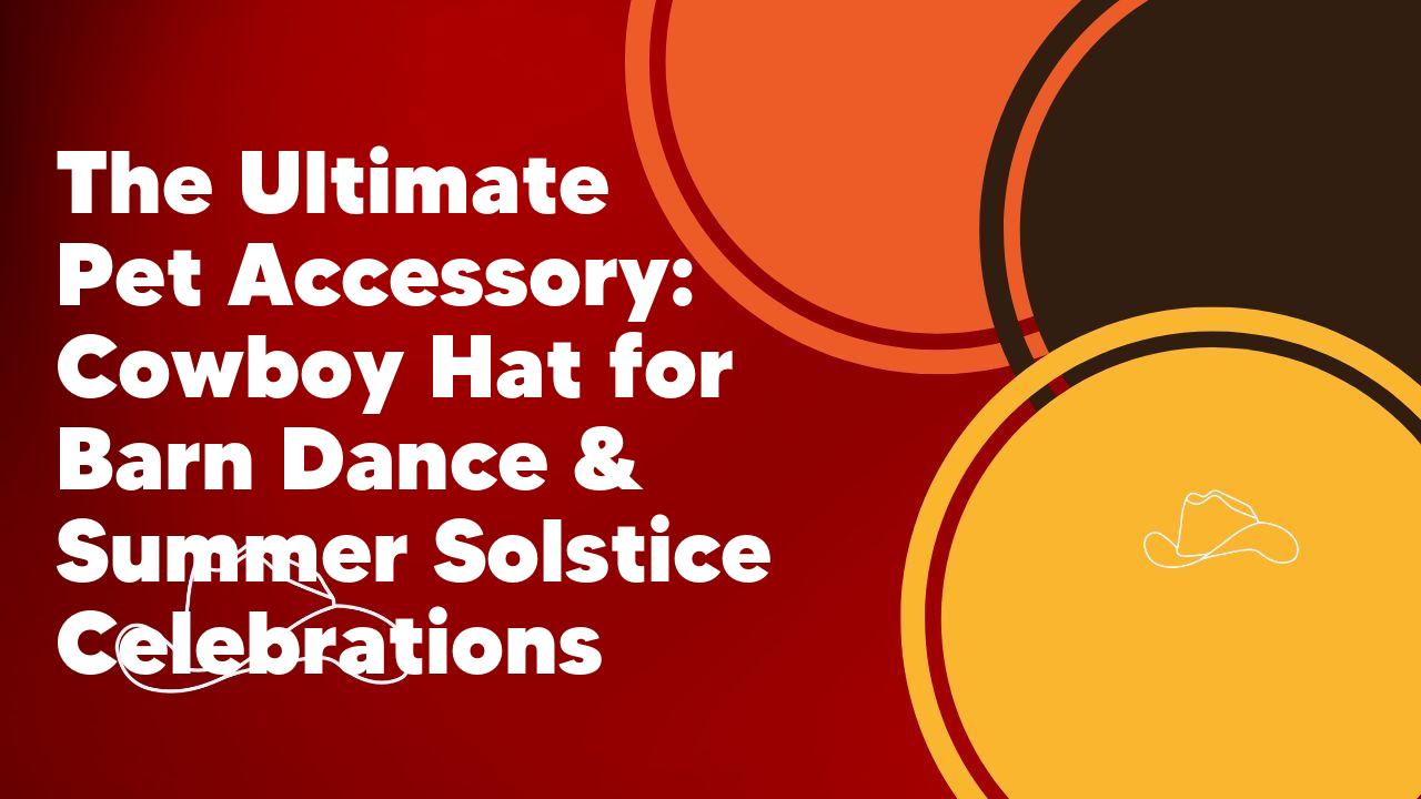 The Ultimate Pet Accessory: Cowboy Hat for Barn Dance & Summer Solstice Celebrations