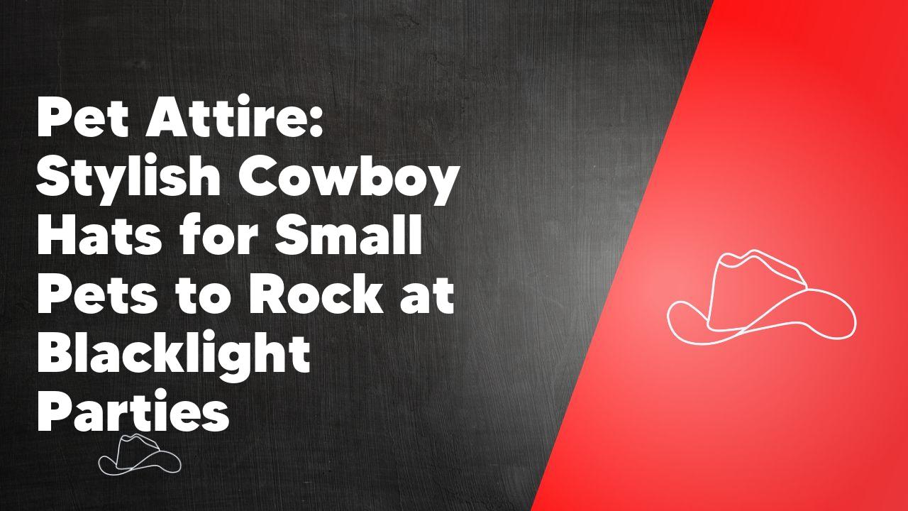 Pet Attire: Stylish Cowboy Hats for Small Pets to Rock at Blacklight Parties - Neon Cowboys