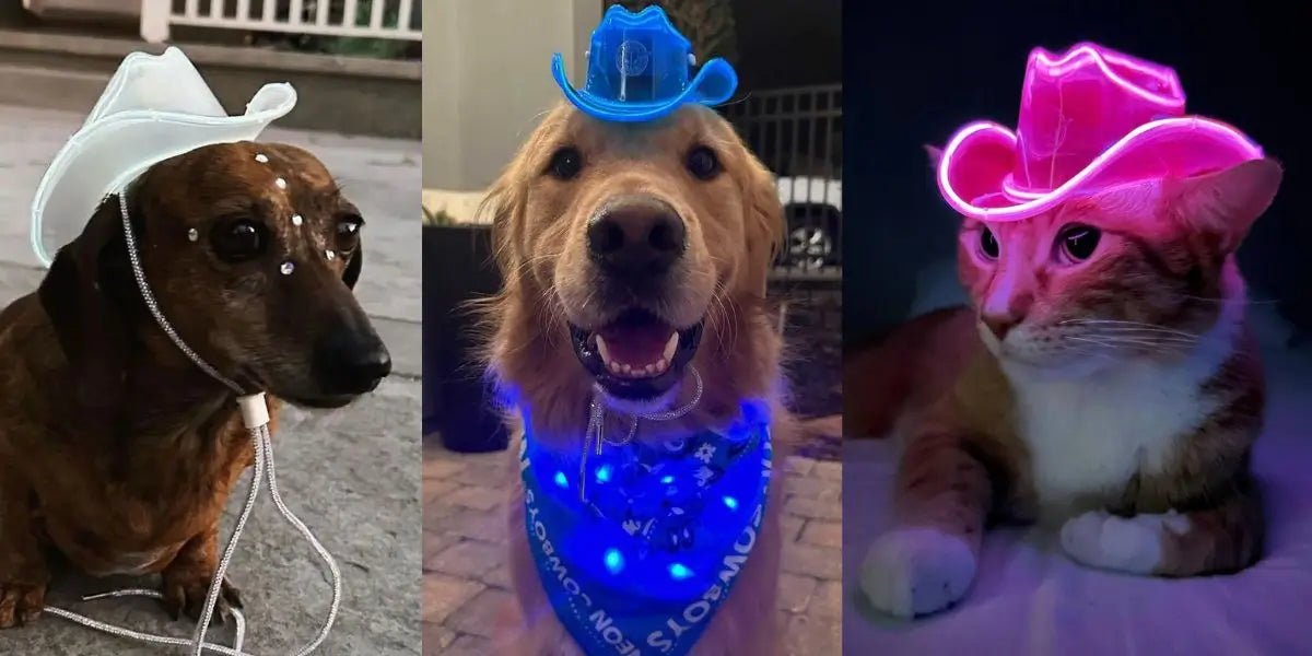 Light-up Pet Products - Neon Cowboys