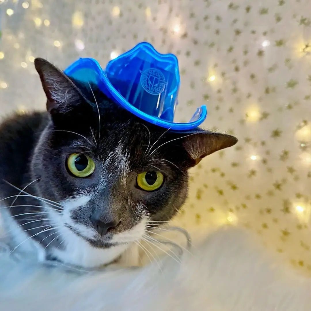 Mini Neon Cowboys® Hat for Cats - Neon Cowboys - Pet Cat Product - 