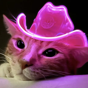 Mini Neon Cowboys® Hat for Cats - Neon Cowboys - Pet Cat Product - 