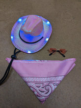 SAMPLE SALE - Pet Hat Bundle (New) - Neon Cowboys - 