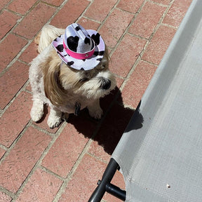 Mini sombrero para mascotas