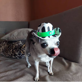 Mini sombrero para mascotas