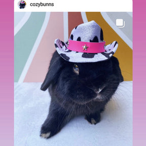 Mini sombrero para mascotas
