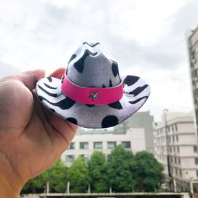Mini sombrero para mascotas